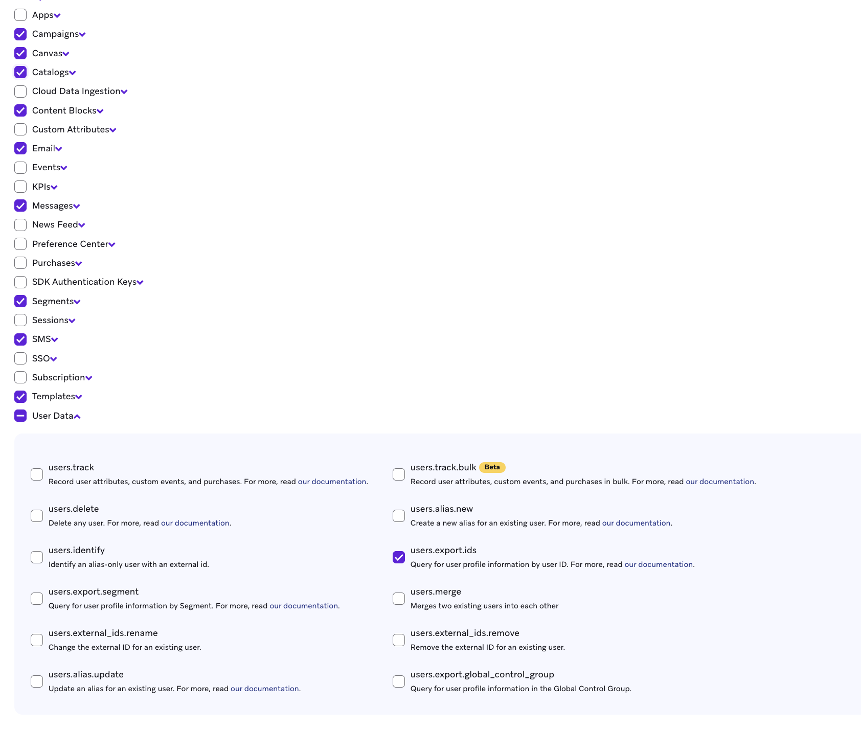 Braze API Key Permissions